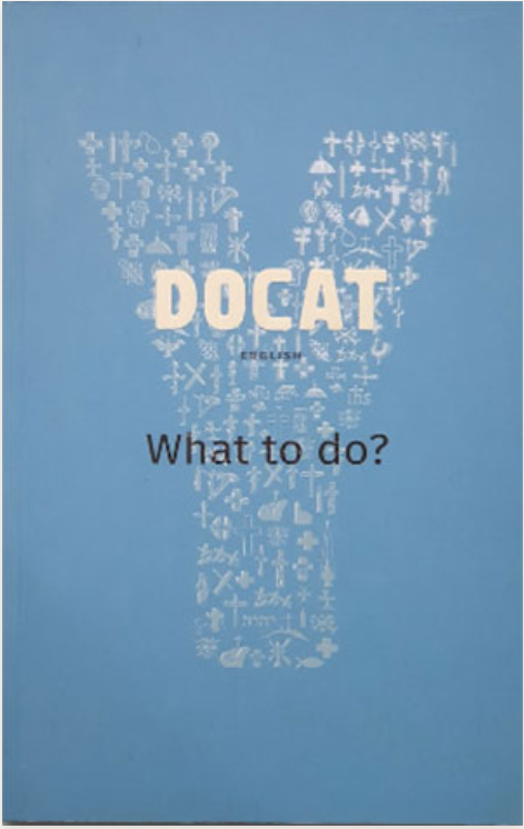 DoCat: What to Do?